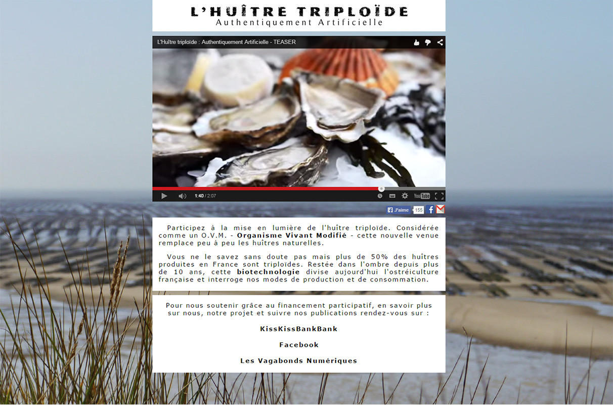 Site huître triploïde